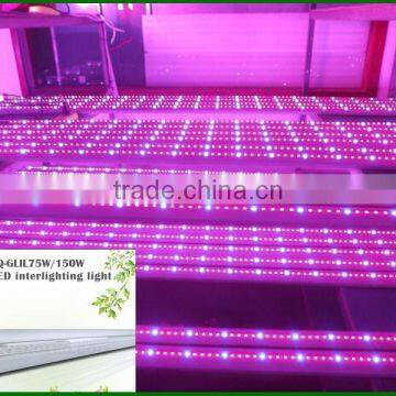 Led Side Lighting 75w Greenhouse Commercial Plants Led Grow up Lights photo-2