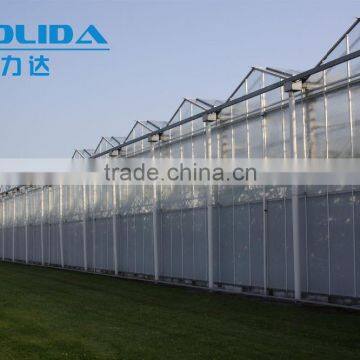 Zigzag Easily Installed PC Sheet Covered Greenhouse
