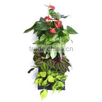 Decorative 4 Pocket Vertical Wall Planter