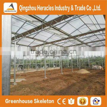ShanDong Cheap Glass Panels Greenhouse for Agricultural photo-4