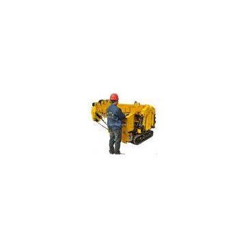 Small Crawler Crane