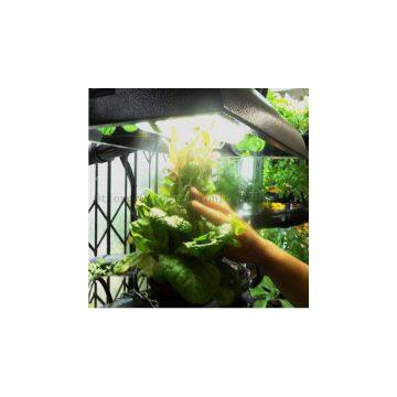 Fluorescent Grow Lights and Plant Grow Lights photo-2