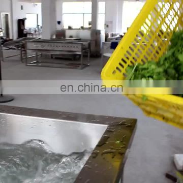 Washer Type Vegetable Process Machine Small Type Washing Machine for lettuce cabbage, preserved vegetable