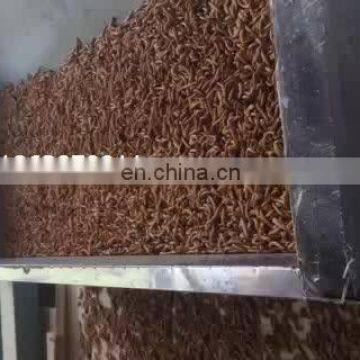 Yellow  meal worm Barley insects  Tunnel continuous industrial microwave dryer  and sterilization machine