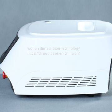 Pet Treatment Equipment Endovenous Laser Therapy For Deep Tissue Pain Relief photo-2
