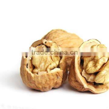 best quality and delicious natural walnut kernel