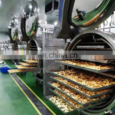 Industry Fruit and Meat Freeze Drying Machine Lyophilization Machine