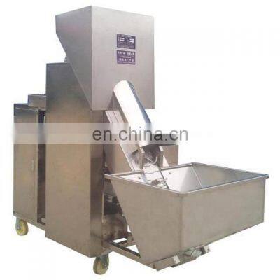 Dehydrated Red Onion Powder processing plant