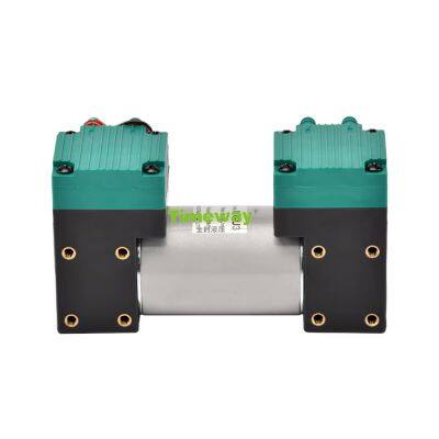 Small Pump 12V/24V/220V AC/DC Piston Pump Head for Temperature Control OEM Customizable