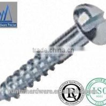 China hot sale pan head slotted self tapping screw