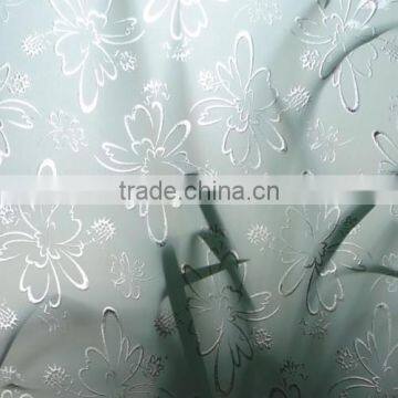 3mm Acid etched glass