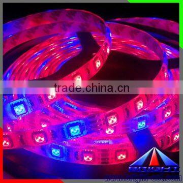 Good Quality SMD5050 Hydroponic Systems Led Plant grow light Waterproof 300LEDS Full Grow Box