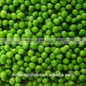 IQF frozen green pea