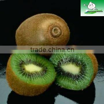 Fresh Kiwi