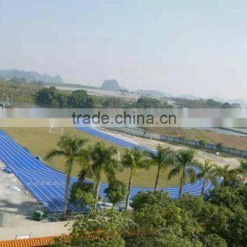 High Quality IAAF Certification Athletic Running Track photo-4