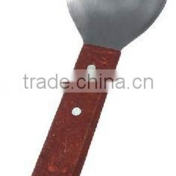 Wooden Handle Spoon