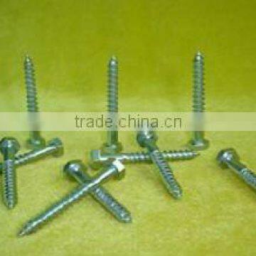 wood screws