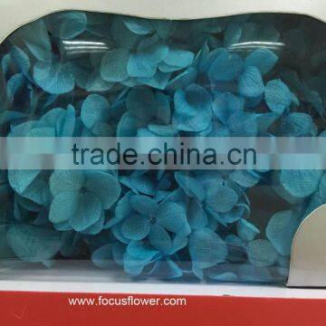 Different Colors Dried Flowers Wholesale Pretty Natural Hydrangea In Gift Box