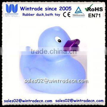 Summer toy duck rubber animal