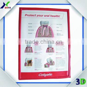 Custom 3D Anatomical Wall Chart Manufacturer photo-6