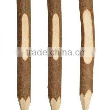 Hot-selling Promotional Wooden Ball Pen photo-2