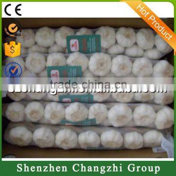 2016 Fresh Normal White Garlic