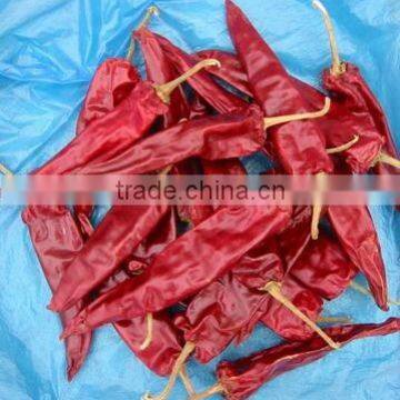Yidu Chilli