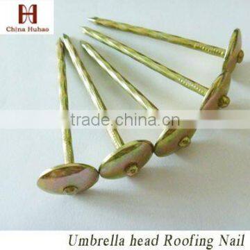 Galvanized umbrella head roofing nail with smooth shank cheap price