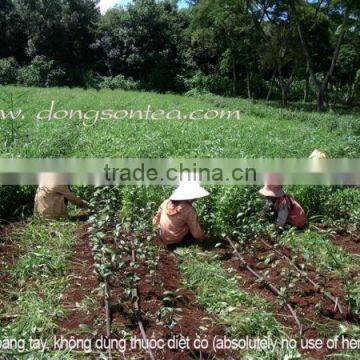 Black Tea Gift Box 400gr photo-5