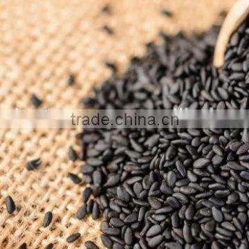 Pure Black Sesame Seeds Suppliers