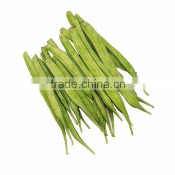 Gawar Price photo-2