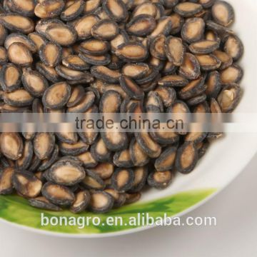 fresh Black watermelon seeds, H.P.S quality free sample