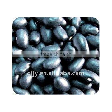 New Black Beans (FACTORY)