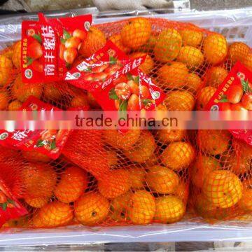 2012 Nanfeng Baby Mandarin direct pick from farmland