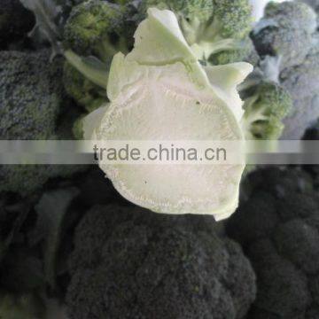 Chinese broccoli