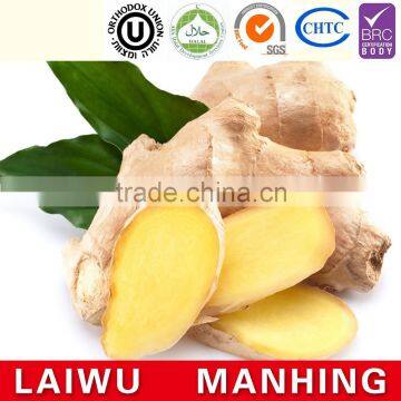 Fresh Ginger Price in China