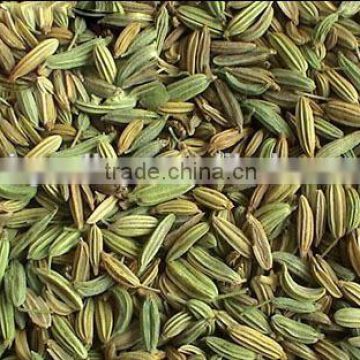 Nigella sativa seed For growing