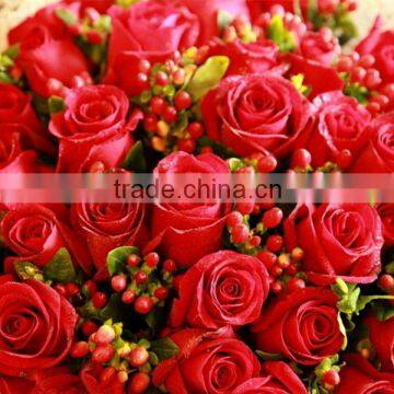 Fresh Cut Flowers,red Rose Natural Rose photo-6