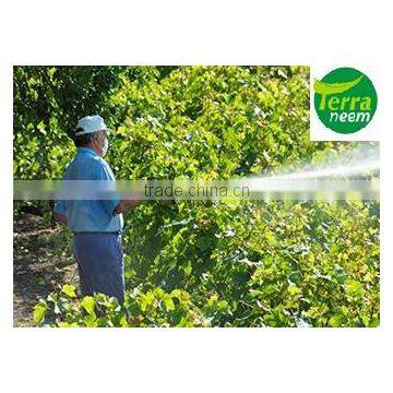 Cold Pressed Neem Oil photo-4