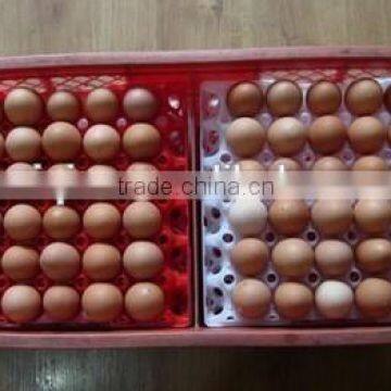 Good Price Commerical Protect Egg-cartons Incubator Transportation Egg Turning Tray Transport Chicken Eggs photo-2