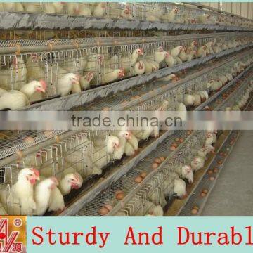 A type 3 tiers 90 birds chicken cage for sale