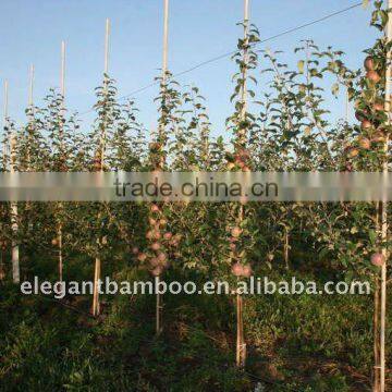 bamboo stake poles for flower stick, plant support