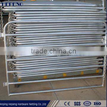 Sheep Farming/farm Equipment Hotsale photo-6