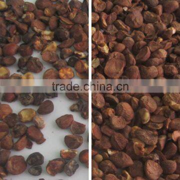New Arrival Machine CCD Seed Color Selector