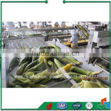 China Frozen Vegetable Production Line,Green Peas Quick Freezing Processing Equipment photo-3