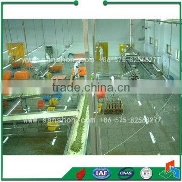 SP-I Pretreatment Production Line for Quick Frozen Vefetable photo-6