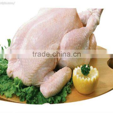 Extruded Dry Dog Food photo-4