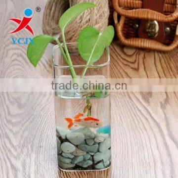 DECORATIVE CLEAR SQAURE HAND GLASS PLANT TERRARIUM