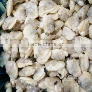 IQF Cooked Baby Clam Meat Without Shell for Export photo-3