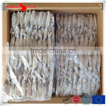 BQF Baby Squid Block Frozen photo-6